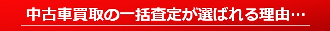 ꊇ肪XX̗R